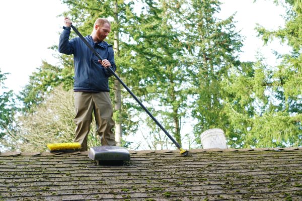 Roof Cleaning Services